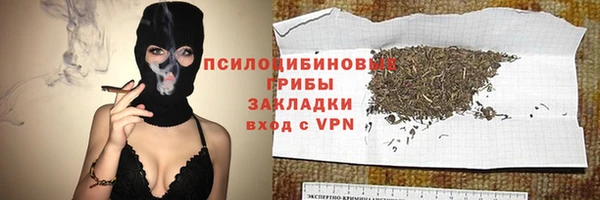 гидропоника Осинники