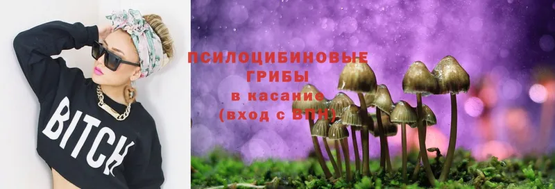 мега зеркало  Новоузенск  Галлюциногенные грибы MAGIC MUSHROOMS  наркошоп 