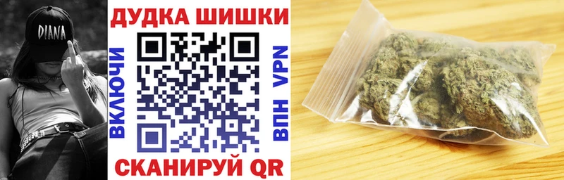 Каннабис индика  продажа наркотиков  Новоузенск 